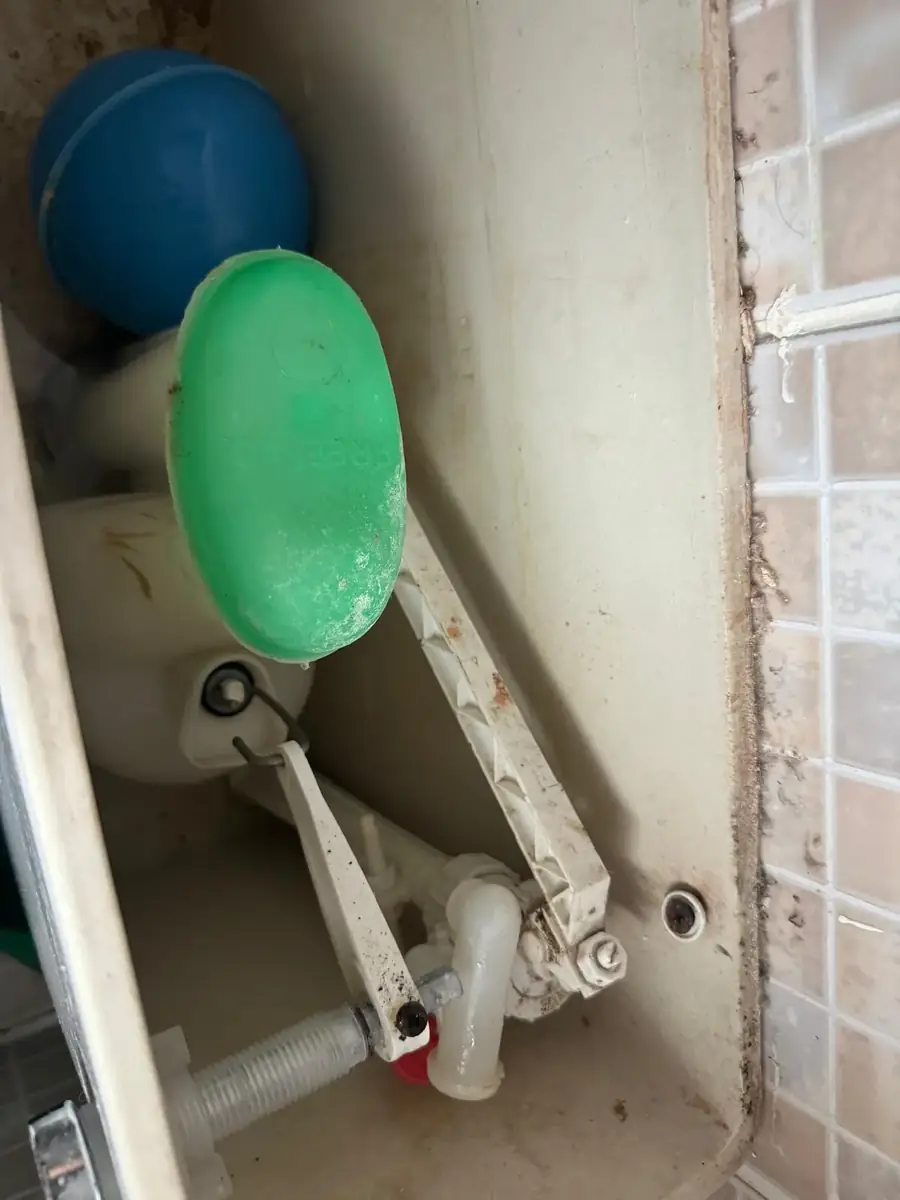 Float and inlet valve inside the cistern
